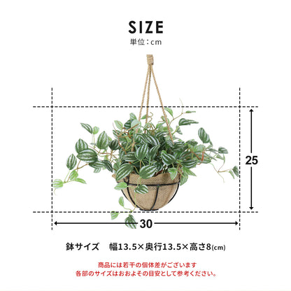 人工観葉植物 ペペロミア サンデルシー43cm