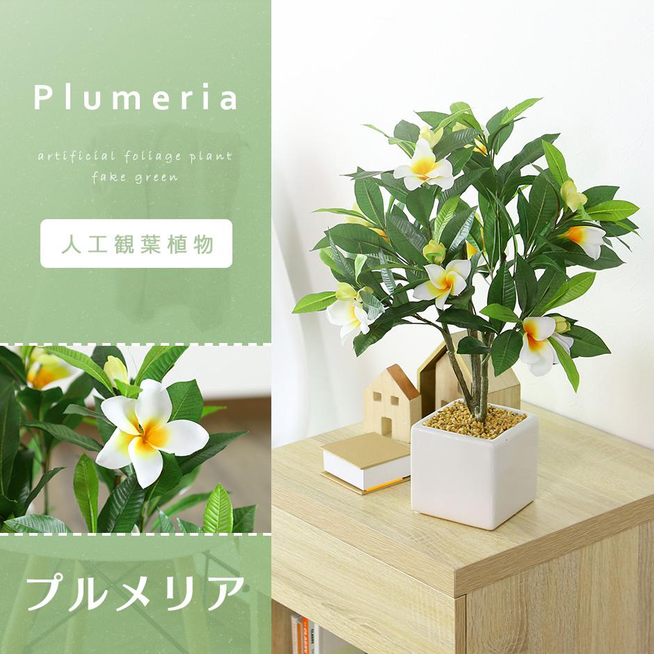 人工観葉植物 プルメリア