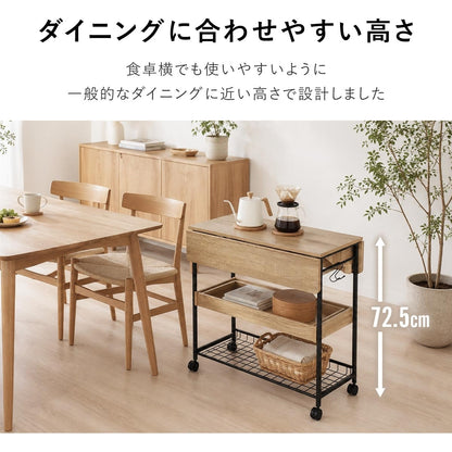 キッチンカウンター ポリラ