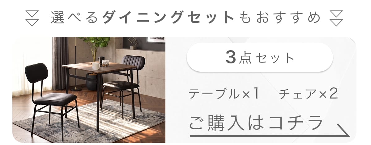 ダイニングチェア2脚セット ラディス2脚セット