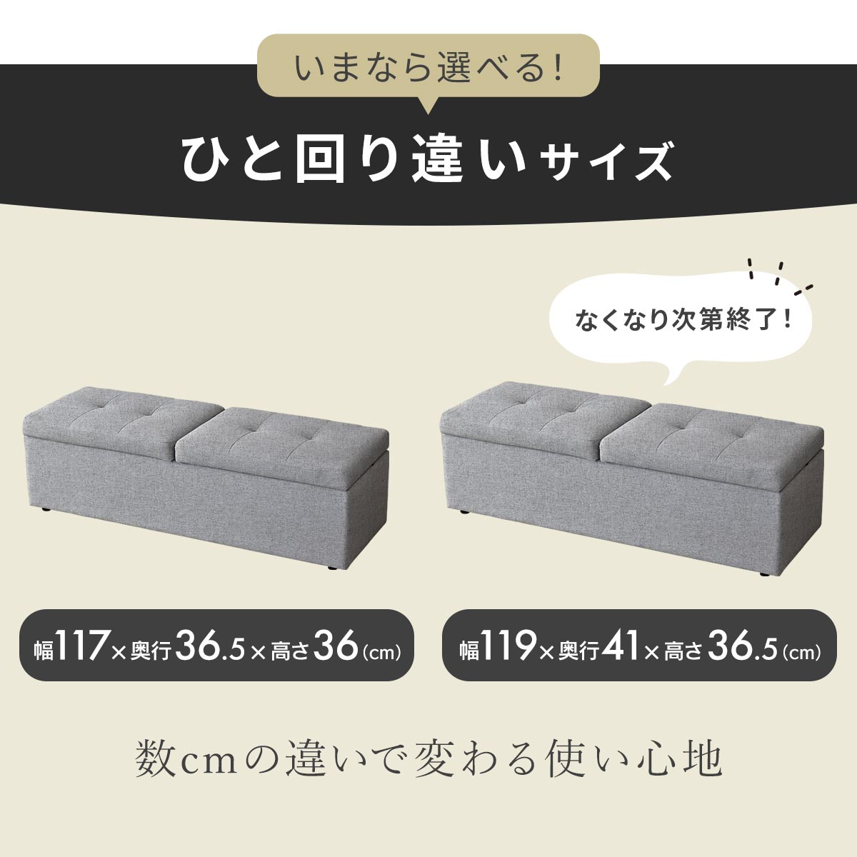 【幅117】収納スツール  ツインベンチ