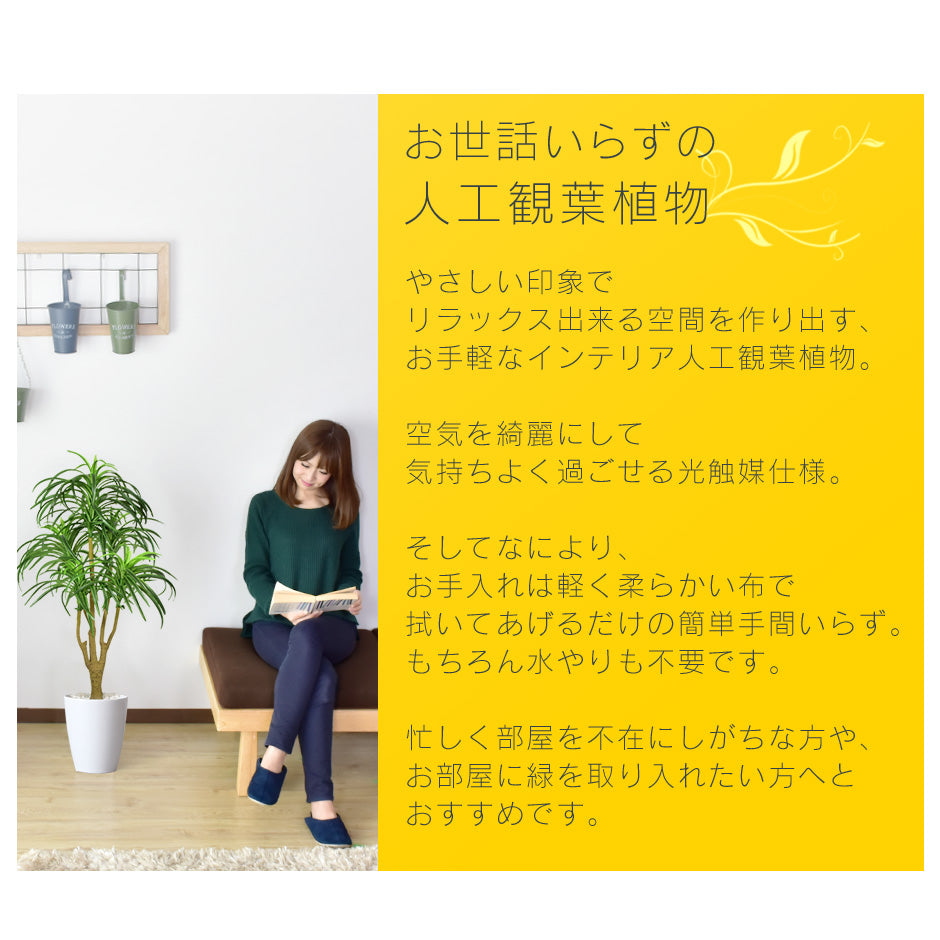 人工観葉植物 ユッカ – ドリス公式ストア【remembrance-doris】