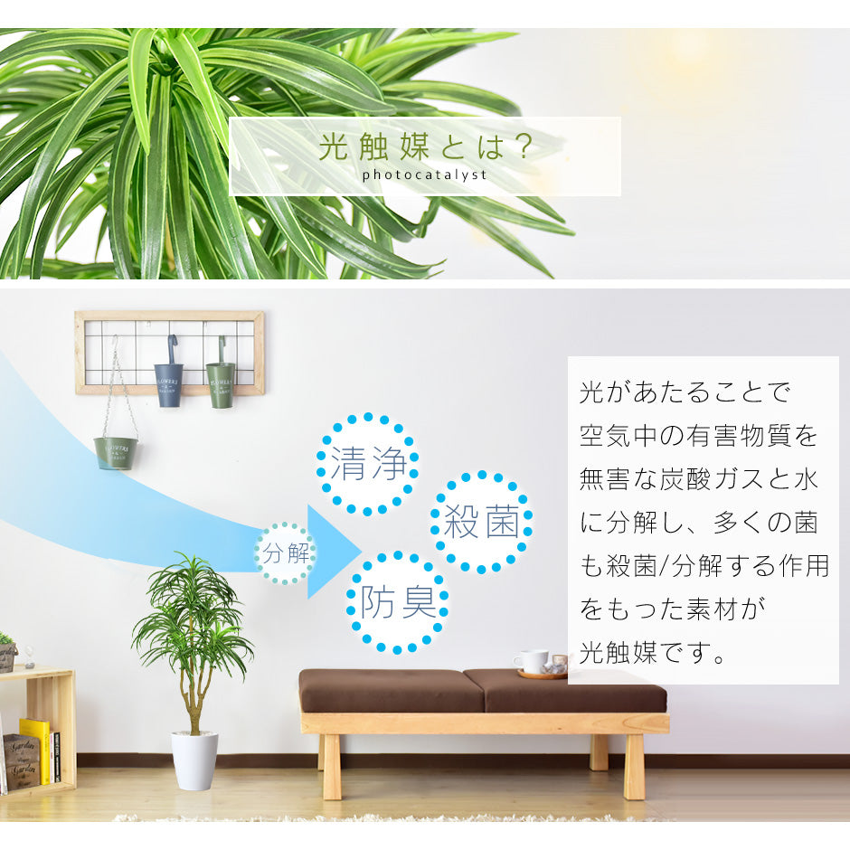 人工観葉植物 ユッカ – ドリス公式