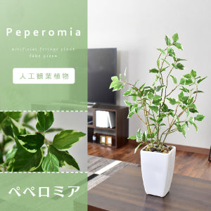 人工観葉植物 ペペロミア