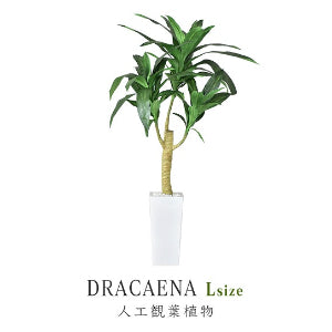 人工観葉植物 ドラセナ L