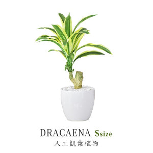 人工観葉植物 ドラセナ S